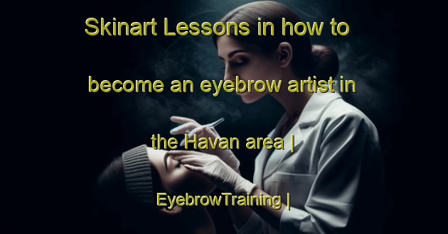 Skinart Lessons in how to become an eyebrow artist in the Havan area | EyebrowTraining | EyebrowClasses | SkinartTraining-Sweden